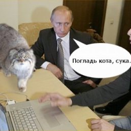 Чезахрень, Москва