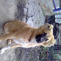 Егор, Москва