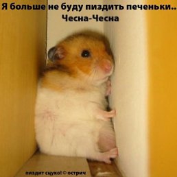 Яна, Киев