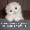 Вика, Москва