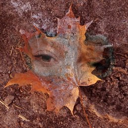 Кен, Санкт-Петербург