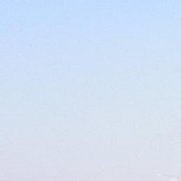 Роман, Санкт-Петербург