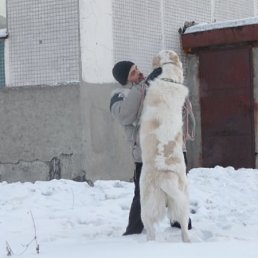 Lordnekromant, Новоград-Волынский