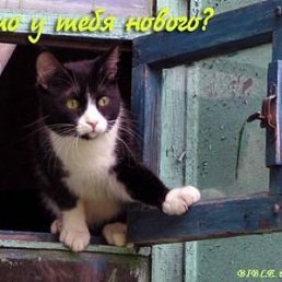 Вася, Москва