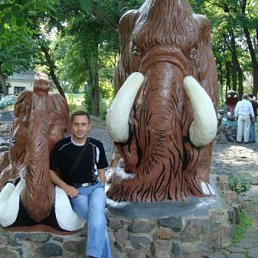 Surik, Киев